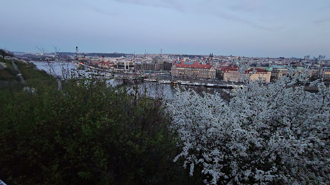 Opinii despre Hanavský Pavilon în Praha - Gastronomie a pohostinství