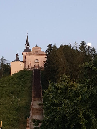 Lhoty u Potštejna 44, 517 41 Lhoty u Potštejna