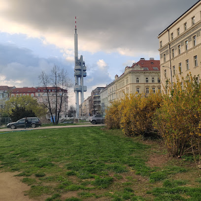 Royale Pershing Casino Bar