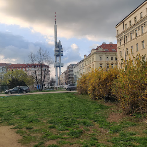 Royale Pershing Casino Bar
