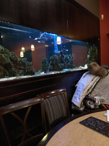 Hospoda v Lucerně - Nové Město