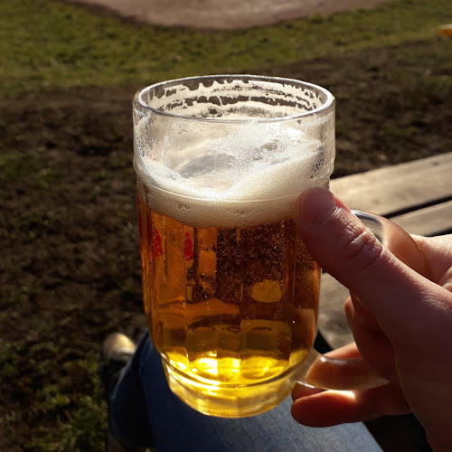 Comentarii opinii despre U Budyho