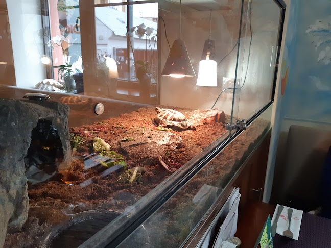 Pizzeria il Pinocchio - Gastronomie a pohostinství