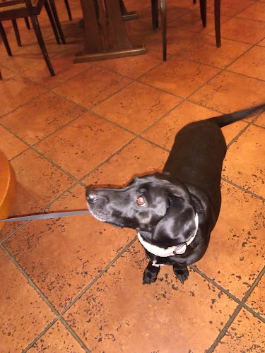 Comentarii opinii despre Víno restaurant