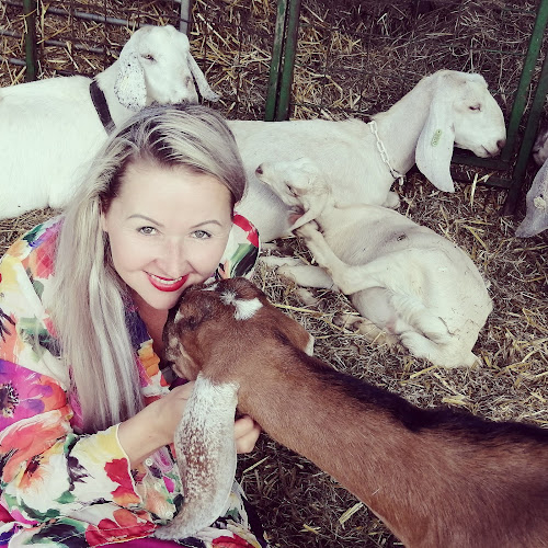 Opinii despre Kozí zmrzlina nejen. în České Budějovice - Gastronomie a pohostinství