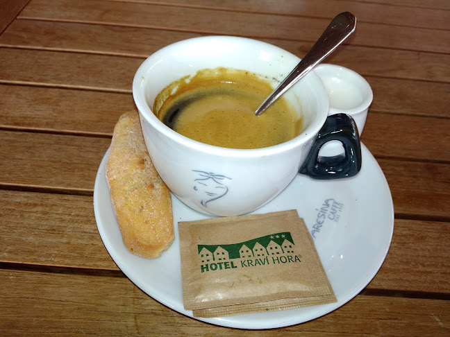 Hotel Kraví Hora