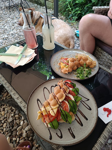 Comentarii opinii despre Pala-Waff