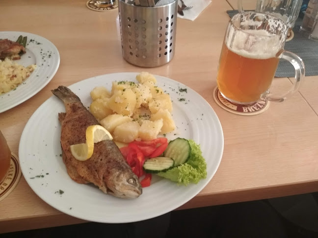 Comentarii opinii despre Hotel a restaurace Hradby