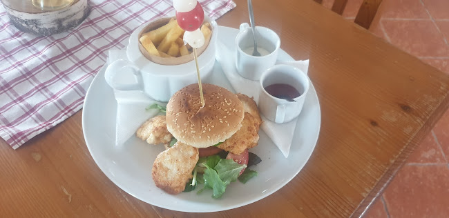 Selský Dvůr u Antoníčka - Gastronomie a pohostinství