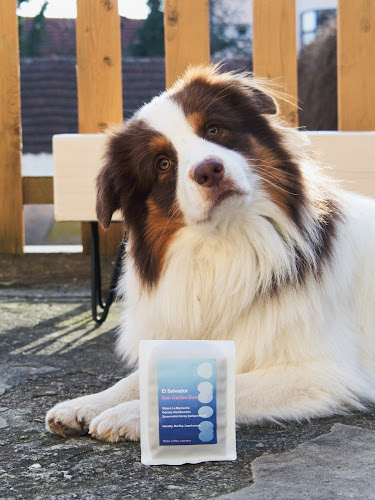 Mima coffee roastery - Gastronomie a pohostinství