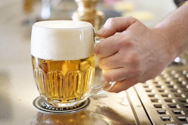 Restaurace Červený Jelen - Gastronomie a pohostinství