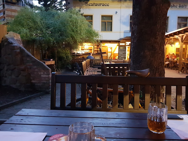 Comentarii opinii despre Restaurace Městské sály