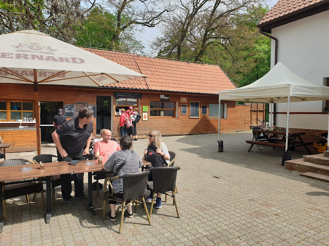 Restaurace U krále Václava IV. - Praha