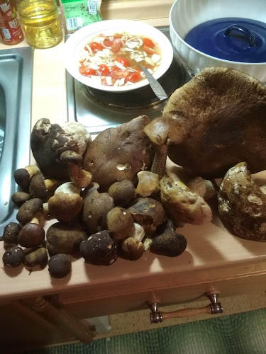 Hostinec U Machýčků - Gastronomie a pohostinství