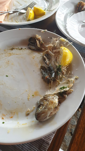 Rakovecká 1385/24, 635 00 Brno-Bystrc