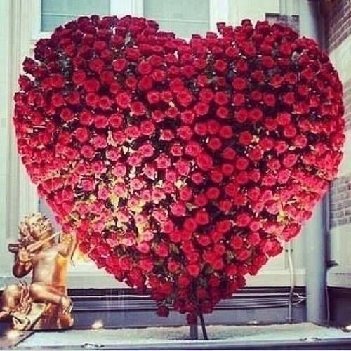 MAI MAI restaurace - Gastronomie a pohostinství