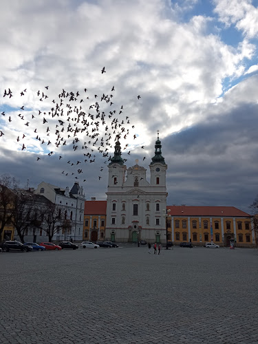 Comentarii opinii despre La Rosco