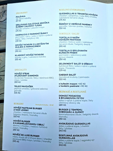 Opinii despre Žíznivej kozel în Klatovy - Gastronomie a pohostinství