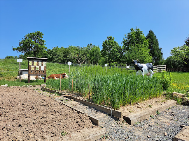 Brniště 16, 471 29 Brniště