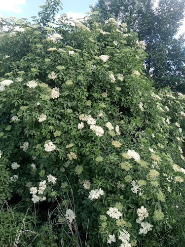 Pohostinství U Severů - Žatčany