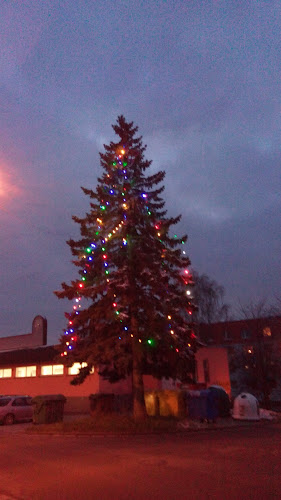 Opinii despre Bar U Motaka în Nové Město nad Metují - Gastronomie a pohostinství