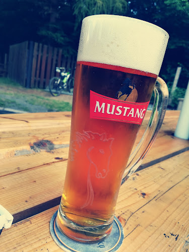 U Rybníka 1267, 739 32 Vratimov 1