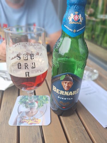 Comentarii opinii despre Sbeerka