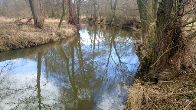 Opinii despre Asia Restaurace Sídliště în Malé Předměstí - Gastronomie a pohostinství