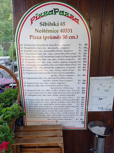 Opinii despre Pizza Pazza în Ústí nad Labem - Gastronomie a pohostinství
