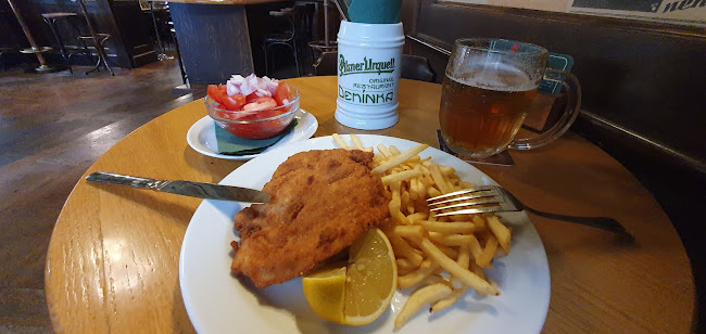 Comentarii opinii despre Demínka