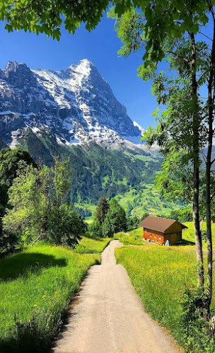 Comentarii opinii despre Bianco Caffé