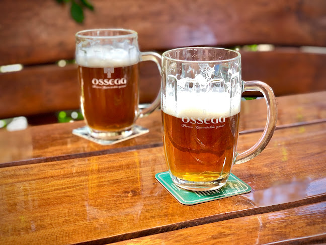 Opinii despre Hospůdka U Černé kočky în Teplice - Gastronomie a pohostinství