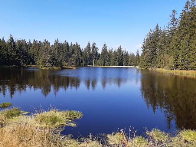 Restaurace a pension U Tetřeva