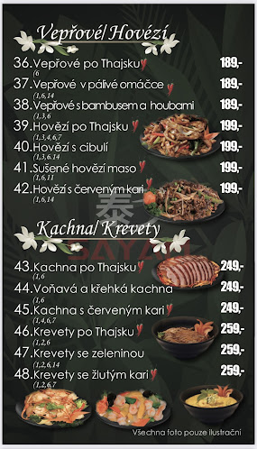 Opinii despre SAYAM în Plzeň 3 - Gastronomie a pohostinství