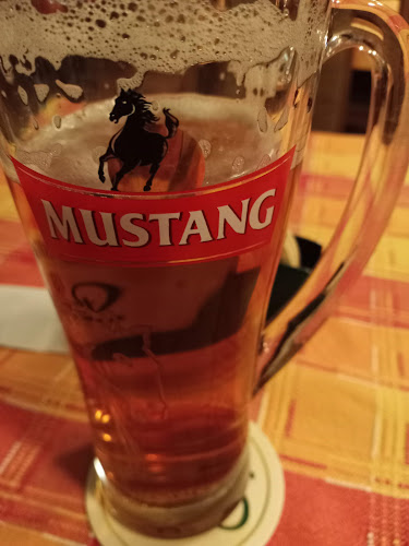 Opinii despre Restaurace Tenesa în Hustopeče - Gastronomie a pohostinství