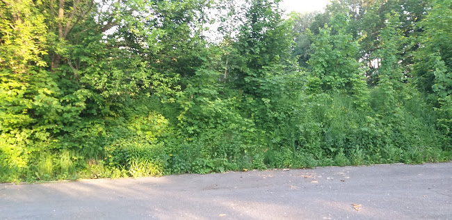 Hostinec Lékárna - Gastronomie a pohostinství