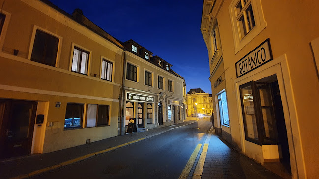 Opinii despre Hospůdka Riegrovka în Kroměříž - Gastronomie a pohostinství