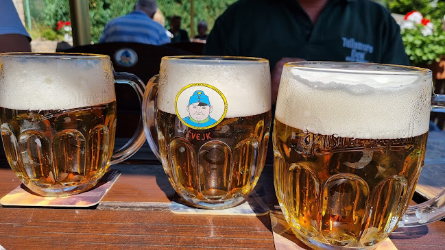 Comentarii opinii despre Hotel restaurant Švejk