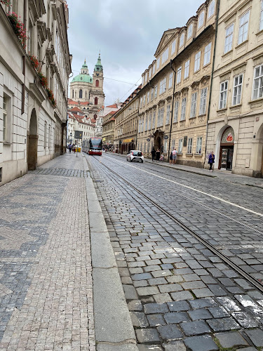 Opinii despre Pivnice U Černého Lva în Praha - Gastronomie a pohostinství