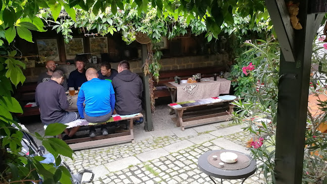 Opinii despre Pizzeria Ostrov u Stříbra în Plzeň - Gastronomie a pohostinství