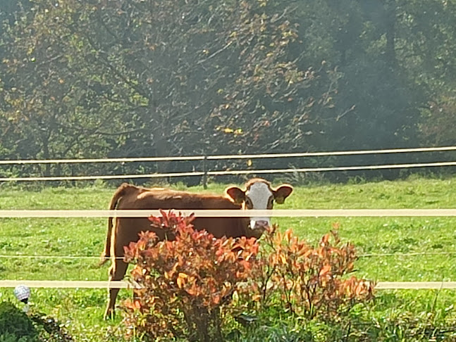 Comentarii opinii despre Mlékárna u Macurů