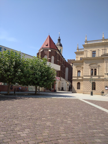 Ostrožná 263/5, 746 01 Opava 1-Město