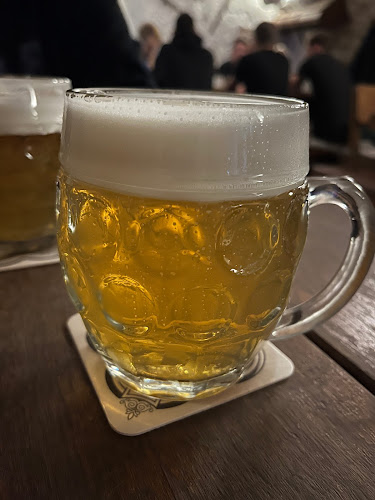 Opinii despre Pivnice a bar Pod Studnou în Brno - Gastronomie a pohostinství