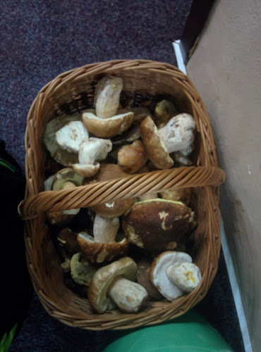 Bar Merlin - Gastronomie a pohostinství