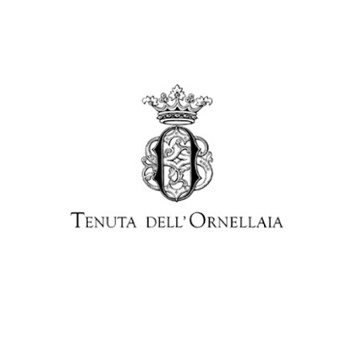 Belgická 115, 120 00 Vinohrady