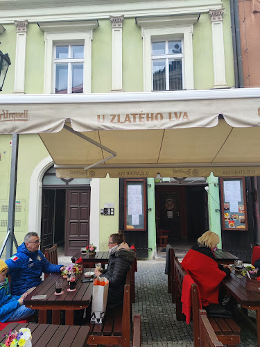 Restaurace U Zlatého Lva Praha-Staré město