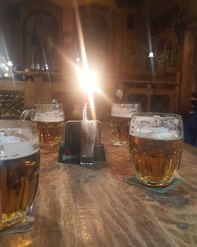 U Hadích lázní 1236/42, 415 01 Teplice 1