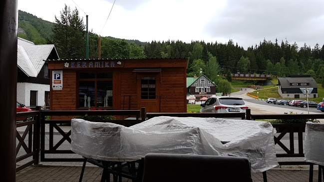 Restaurace David - Gastronomie a pohostinství