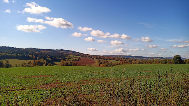 Kiosek u STÁDA - Gastronomie a pohostinství