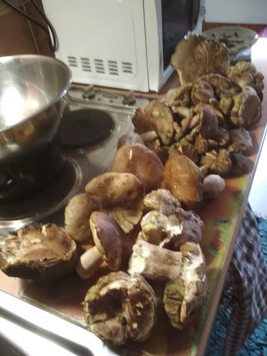 Comentarii opinii despre Hostinec U Machýčků